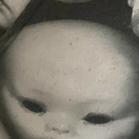 dollypacifica Alaston
