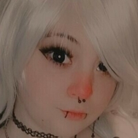 littlescarefox Alaston