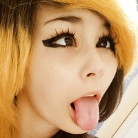 niyokochan Alaston